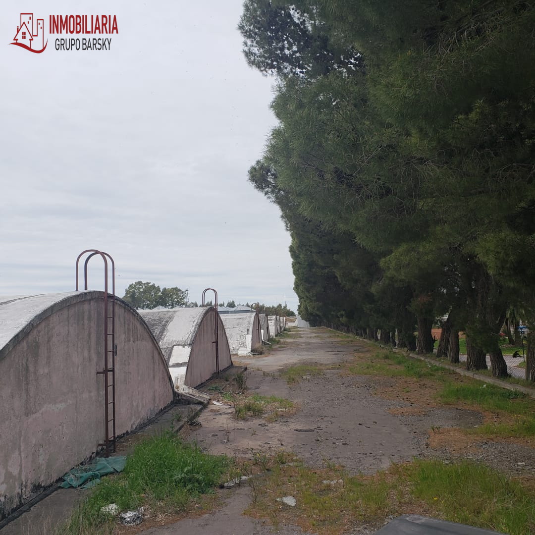 Campo  en Venta   Coronel Dorrego - Bahía Blanca Propiedades | SITIO OFICIAL l