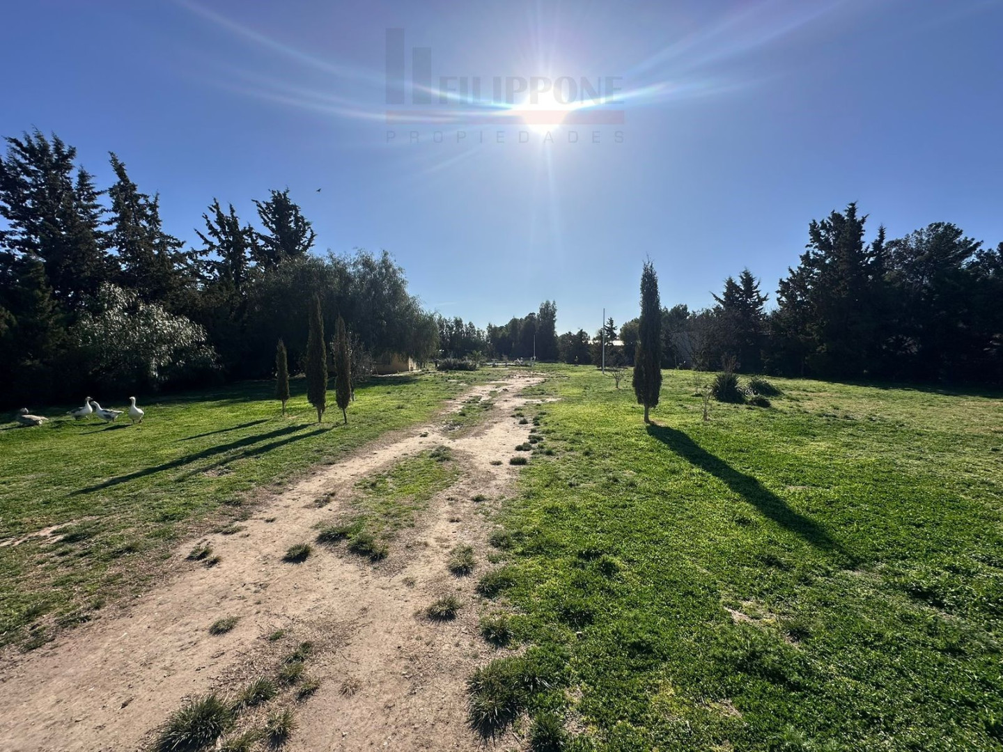 Casa en Venta en Francisca Hernández 385, Los Chañares, Bahía Blanca - Bahía Blanca Propiedades | SITIO OFICIAL l