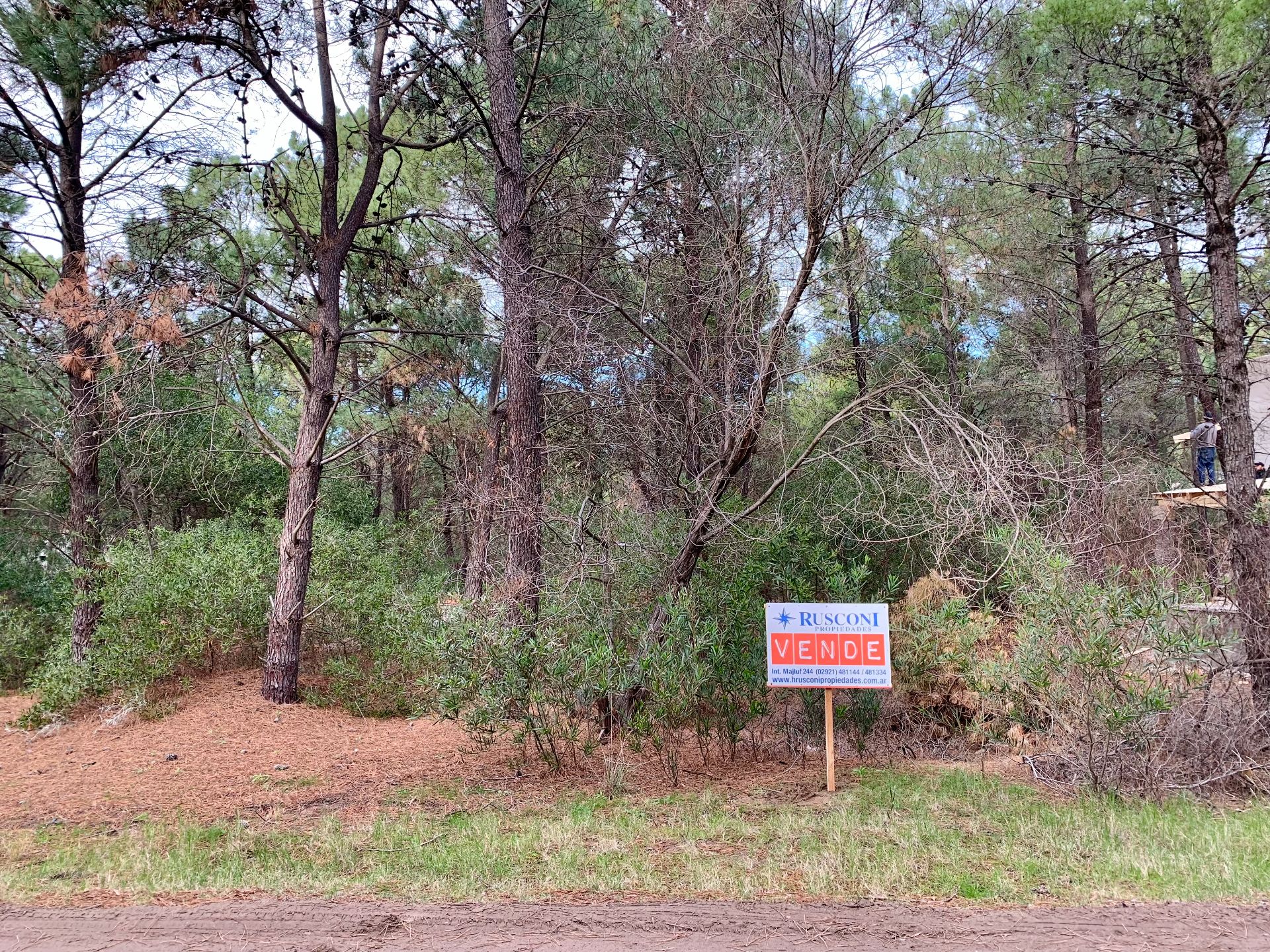 Terreno en Venta en Bosque Alegre Esquina Los Zorzales, Pinar Del Golf, Pinar del Golf, Monte Hermoso - Bahía Blanca Propiedades | SITIO OFICIAL l
