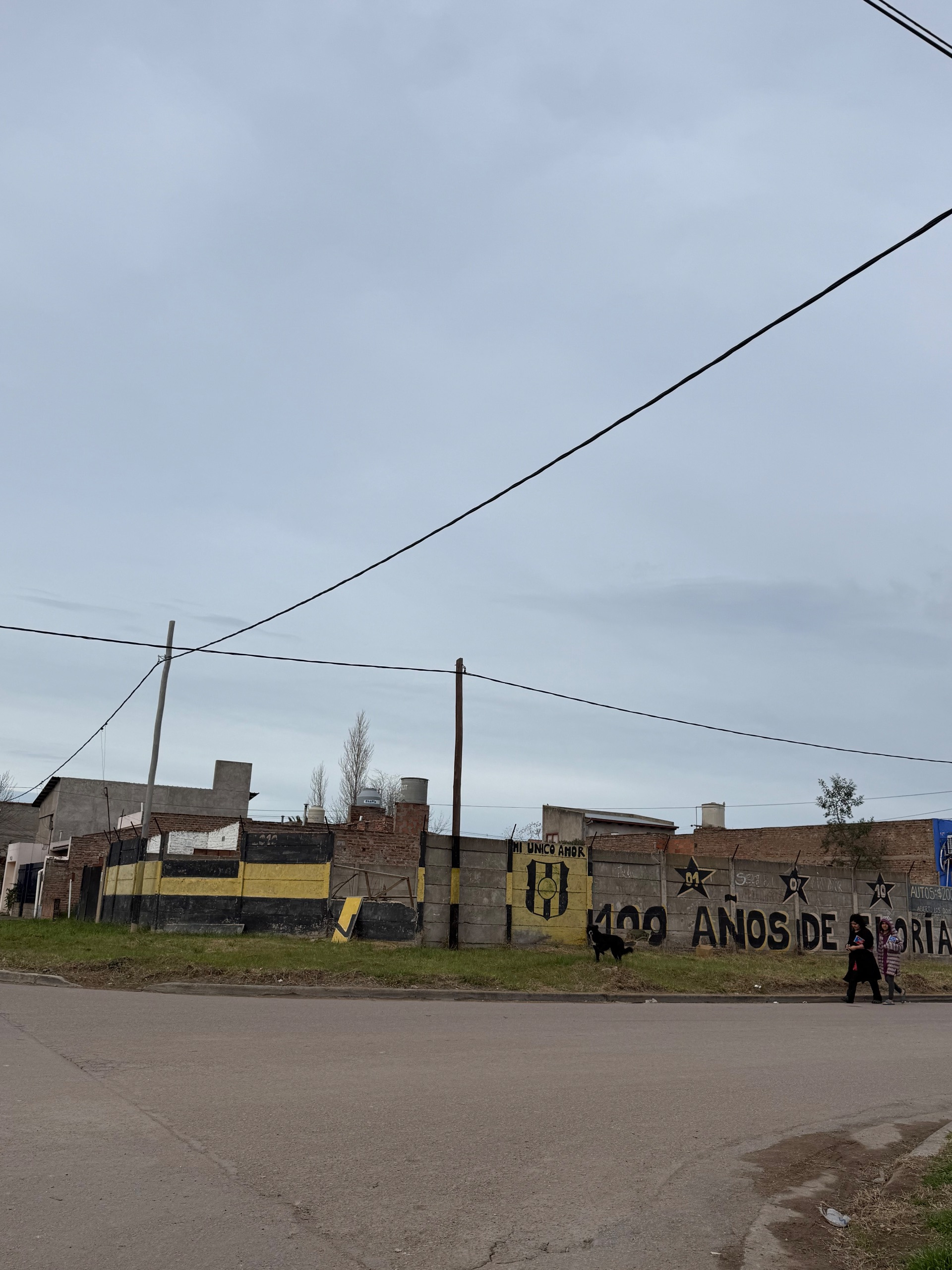 Terreno en Venta en Vicente Lopez Y Ricardo Güiraldes, Los Almendros, Bahía Blanca - Bahía Blanca Propiedades | SITIO OFICIAL l