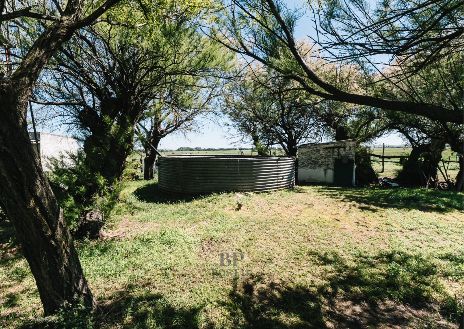 Campo  en Venta en MALVINAS Y TIERRA DEL FUEGO, SAAVEDRA,  Saavedra - Bahía Blanca Propiedades | SITIO OFICIAL l