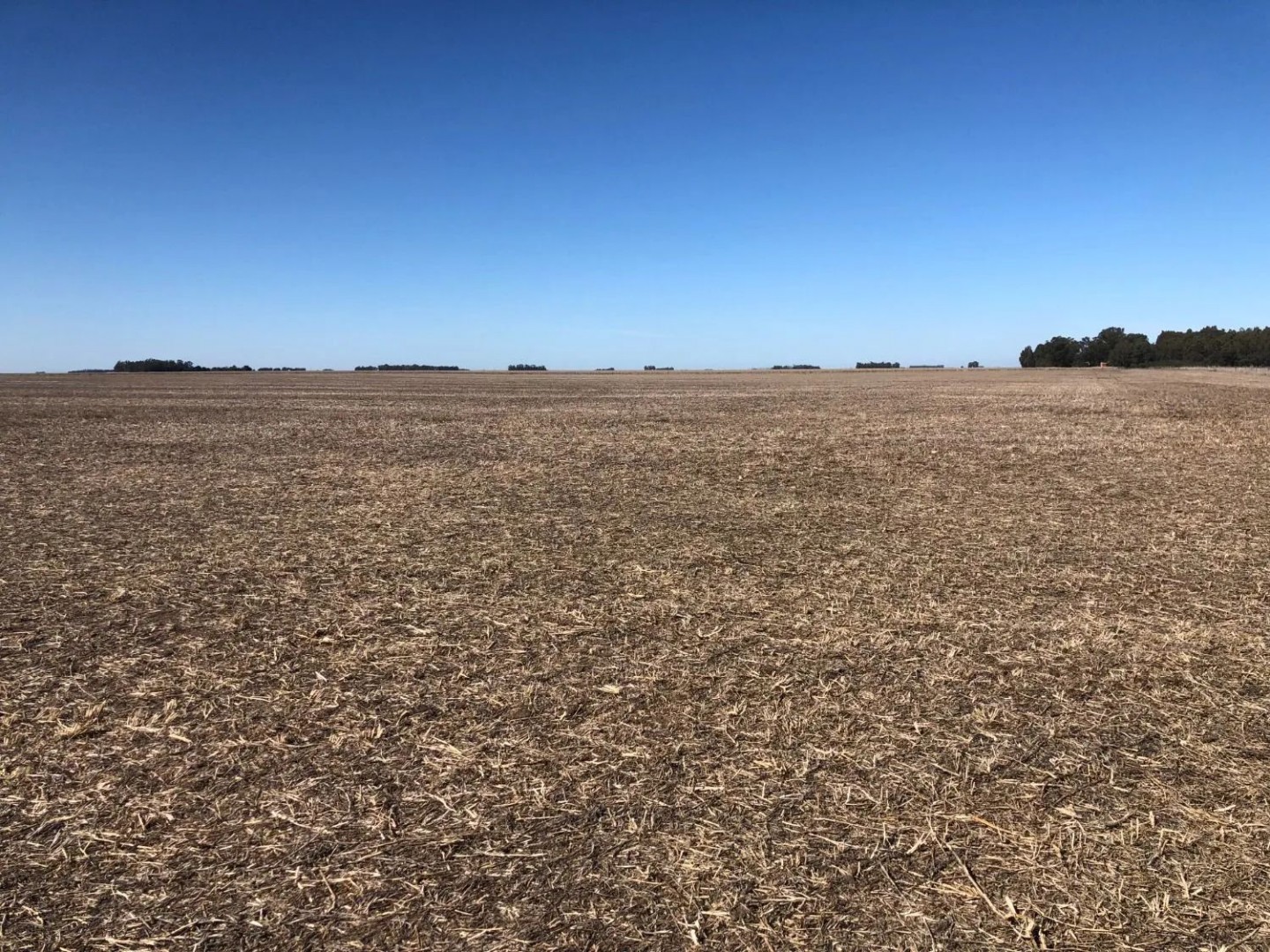 Campo  en Venta en Tres Arroyos,  Tres Arroyos - Bahía Blanca Propiedades | SITIO OFICIAL l