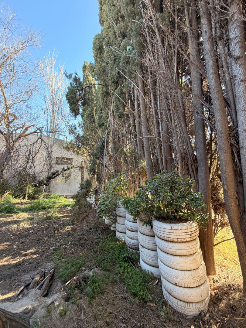 Casa en Venta en Necochea Y Castelar,  Bahía Blanca - Bahía Blanca Propiedades | SITIO OFICIAL l