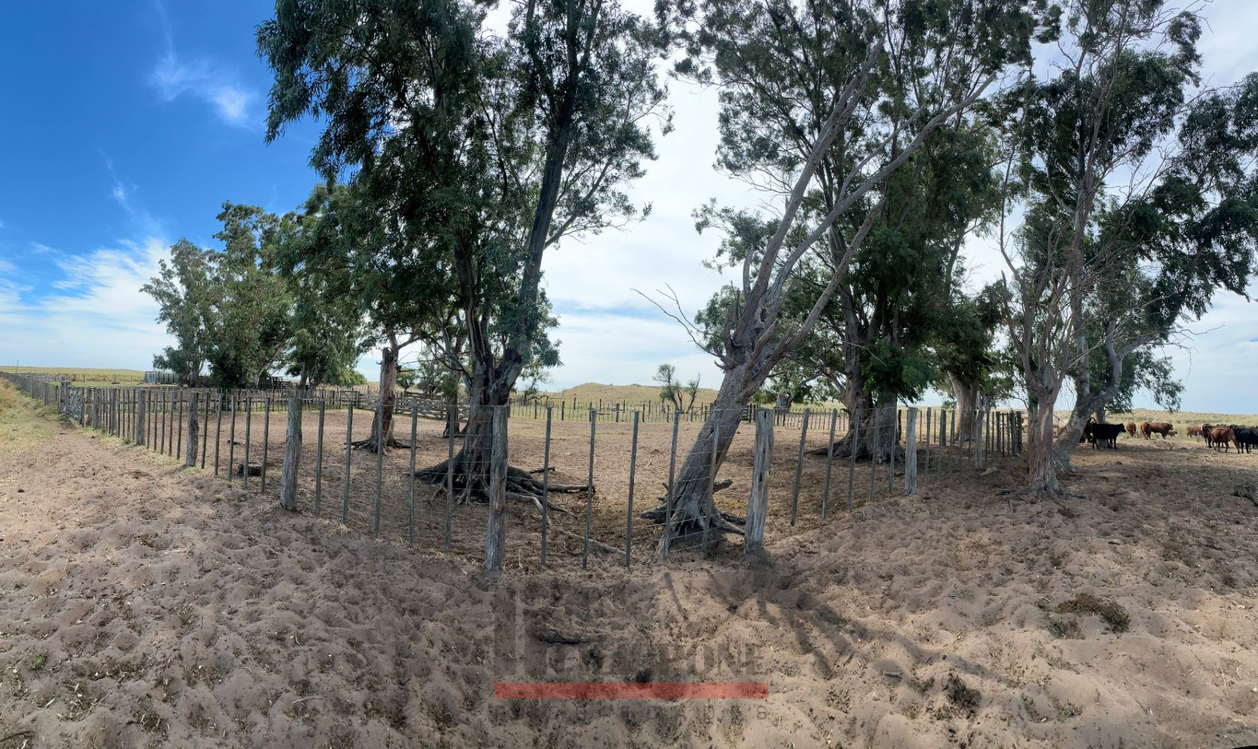 Campo  en Venta   Coronel Dorrego - Bahía Blanca Propiedades | SITIO OFICIAL l