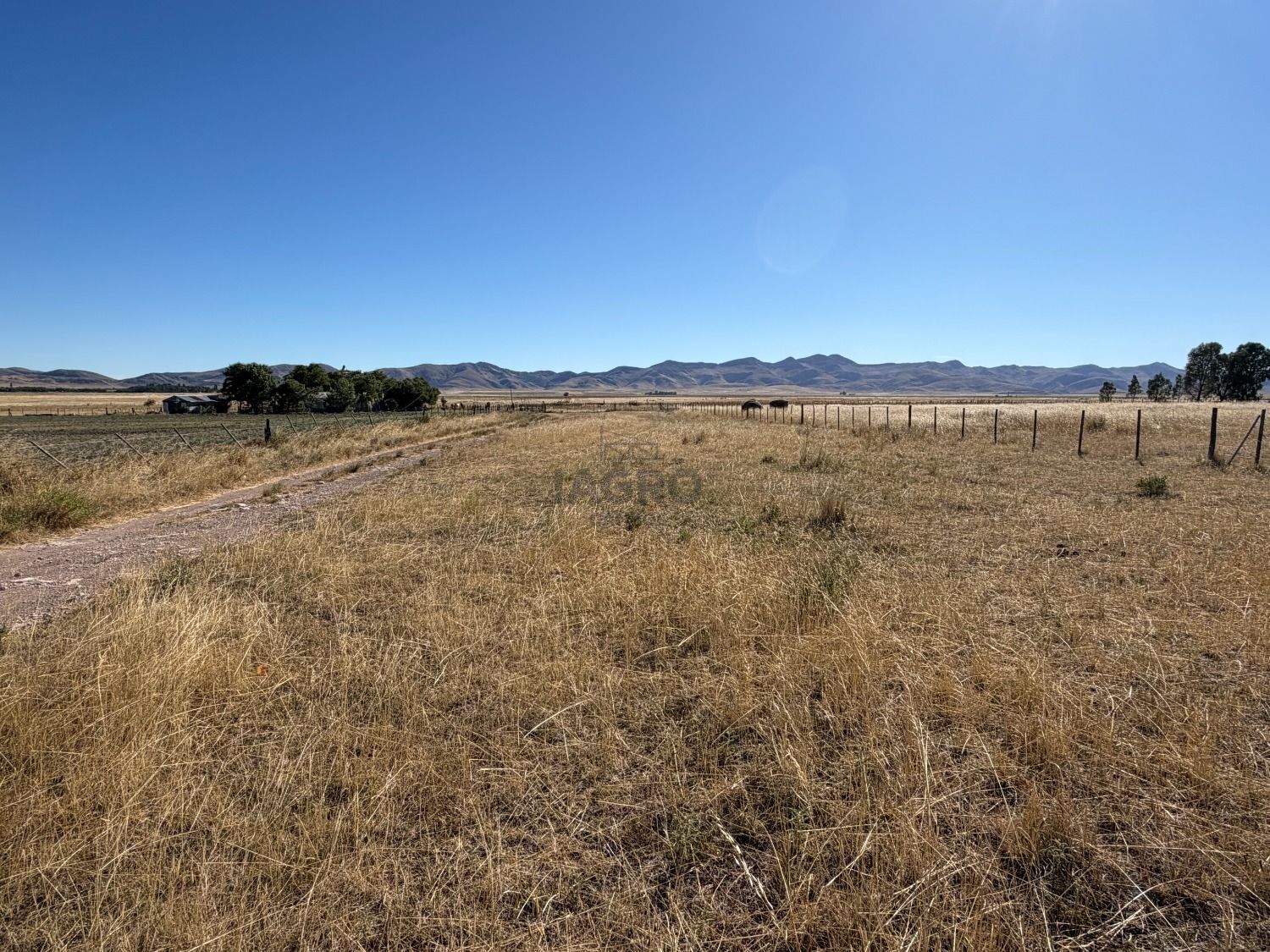 Campo  en Venta en Partido De Saavedra,  Saavedra - Bahía Blanca Propiedades | SITIO OFICIAL l