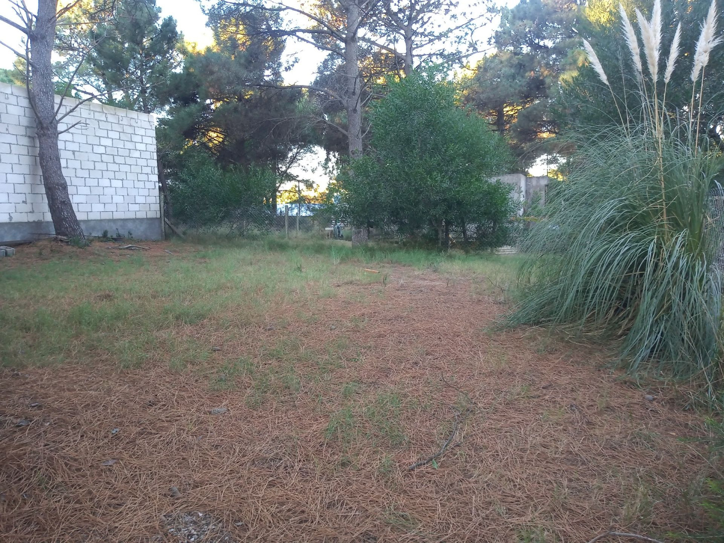 Casa en Venta en Del Lenguado 730, Las Dunas, Monte Hermoso - Bahía Blanca Propiedades | SITIO OFICIAL l