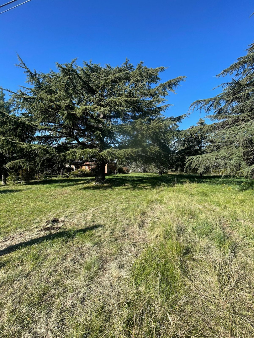 Terreno en Venta - Bahía Blanca Propiedades | SITIO OFICIAL l