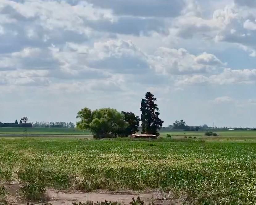 Campo  en Venta - Bahía Blanca Propiedades | SITIO OFICIAL l