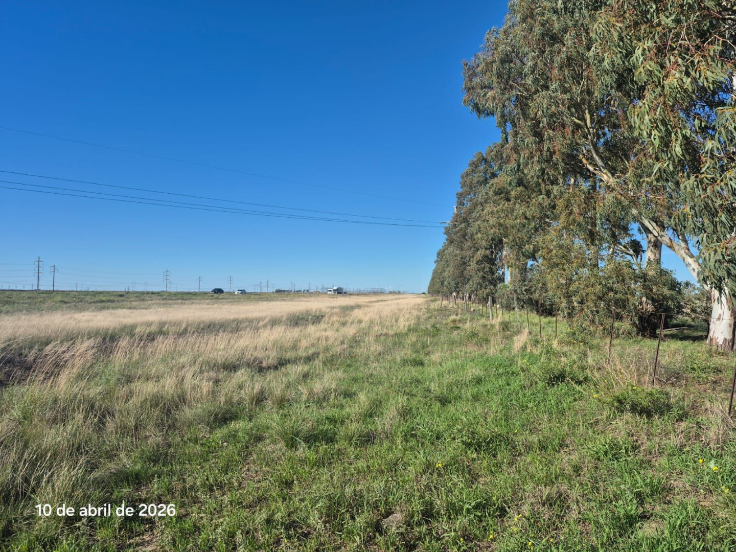 Campo  en Venta en Ruta 51 Km 722,  Bahía Blanca - Bahía Blanca Propiedades | SITIO OFICIAL l
