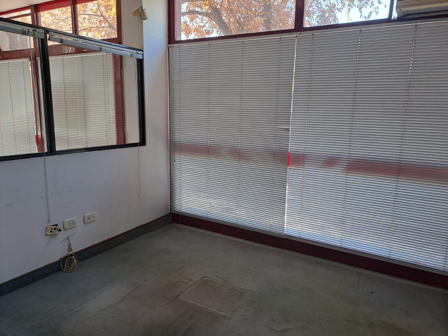 Local en Venta en Brown 495, Centro, Bahía Blanca - Bahía Blanca Propiedades | SITIO OFICIAL l