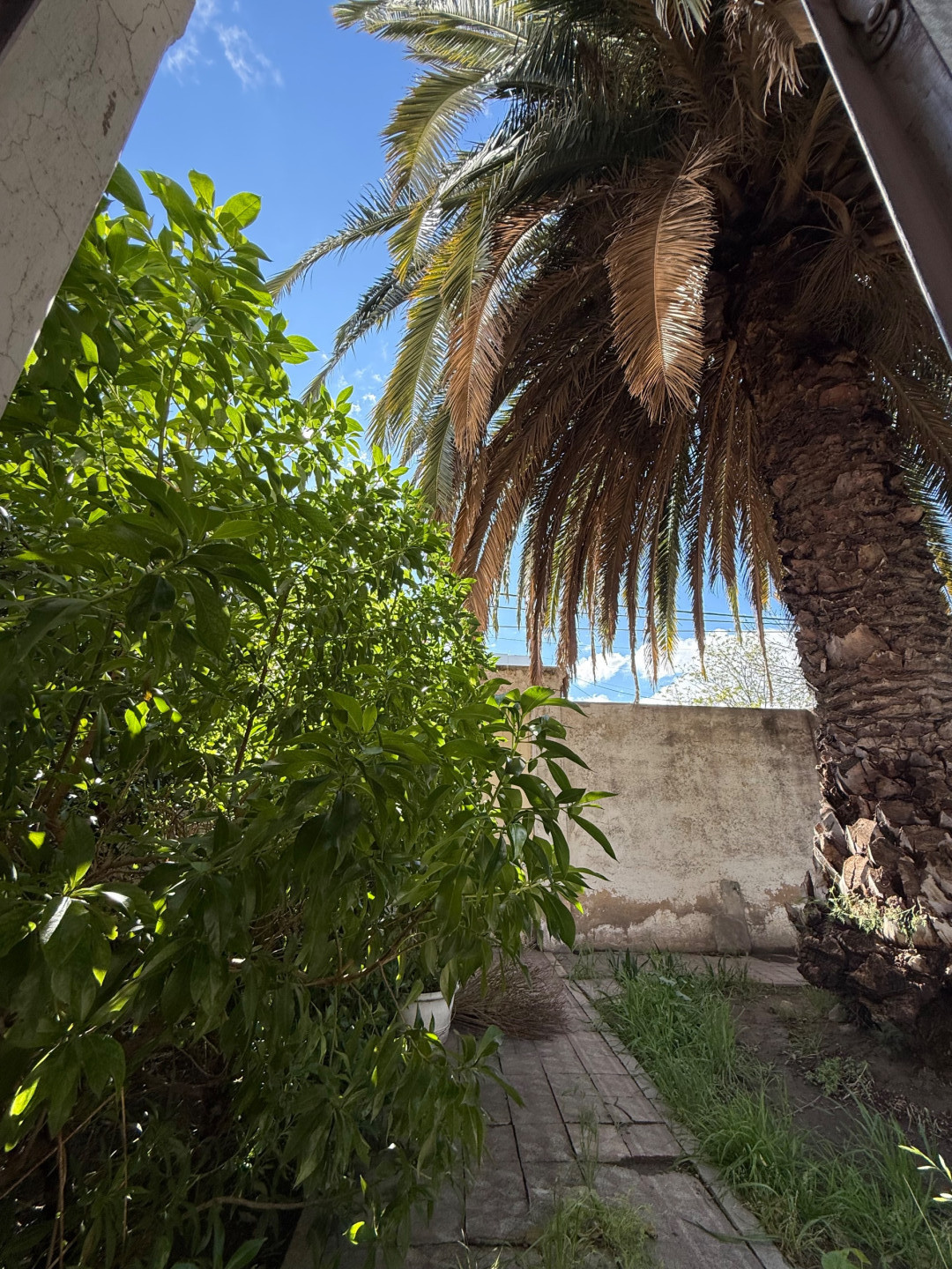 Terreno en Venta en Pueyrredon 160, Pedro Pico, Bahía Blanca - Bahía Blanca Propiedades | SITIO OFICIAL l