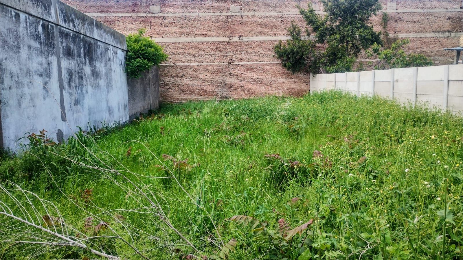 Terreno en Venta  Pedro Pico, Bahía Blanca - Bahía Blanca Propiedades | SITIO OFICIAL l