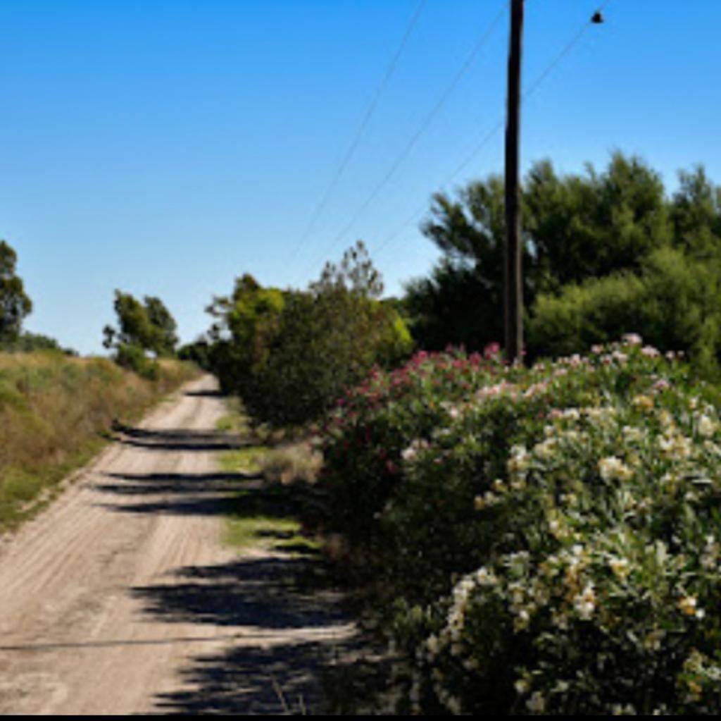Campo  en Venta   Pedro Luro - Bahía Blanca Propiedades | SITIO OFICIAL l
