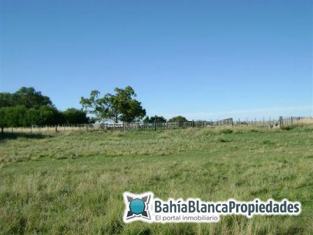 Campo  en Venta en SAAVEDRA - EXCELENTE!,  Saavedra - Bahía Blanca Propiedades | SITIO OFICIAL l