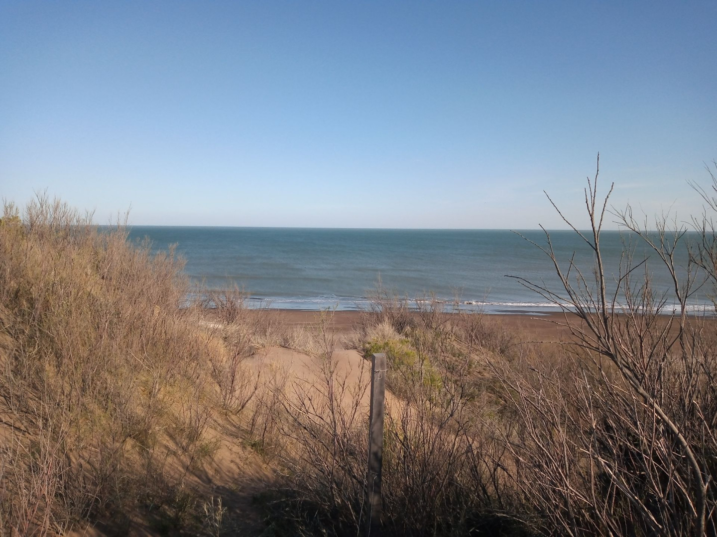 Terreno en Venta en Costanera Y Ensenada, El Sauce, Monte Hermoso - Bahía Blanca Propiedades | SITIO OFICIAL l