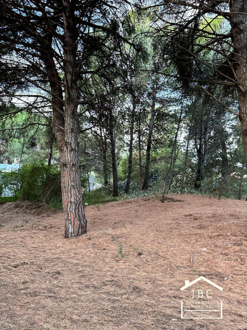 Terreno en Venta en Espora Y LAUQUEN MAPU,  Pehuen Co - Bahía Blanca Propiedades | SITIO OFICIAL l