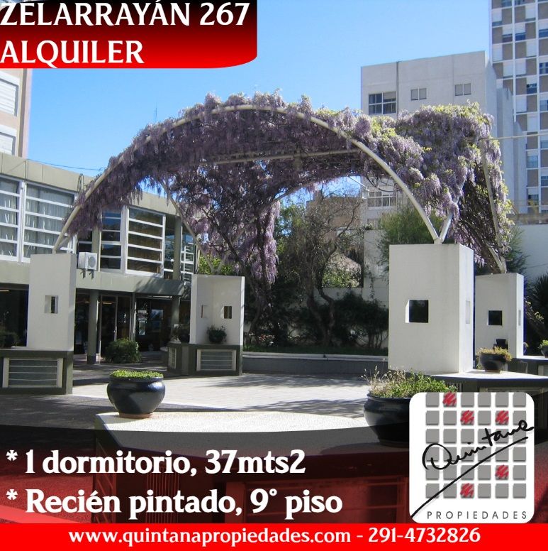 Departamento en Alquiler en Zelarrayan 267, Centro, Bahía Blanca - Bahía Blanca Propiedades | SITIO OFICIAL l