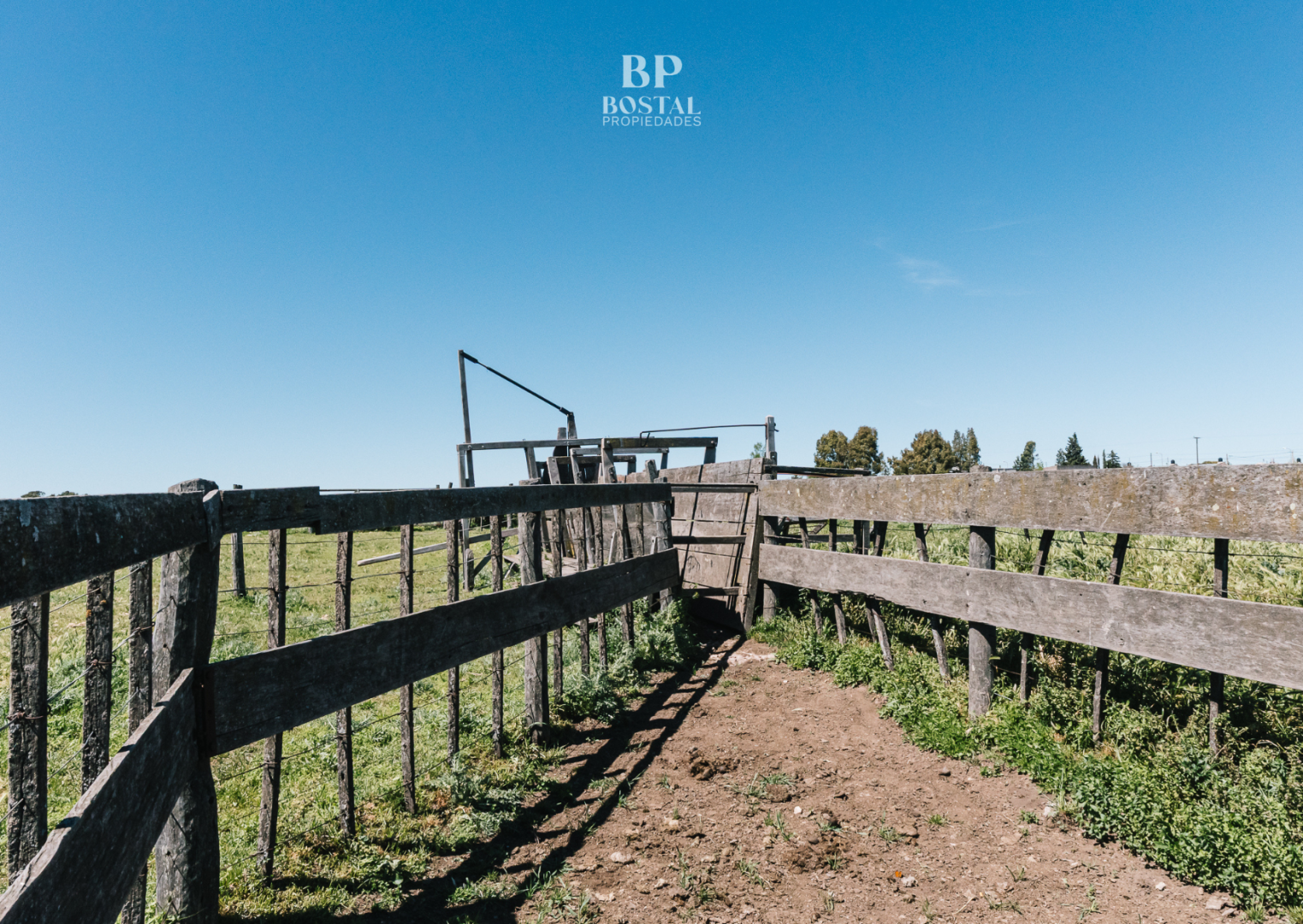 Campo  en Venta en MALVINAS Y TIERRA DEL FUEGO, SAAVEDRA,  Saavedra - Bahía Blanca Propiedades | SITIO OFICIAL l