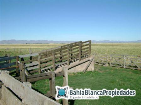 Campo  en Venta en SAAVEDRA - EXCELENTE!,  Saavedra - Bahía Blanca Propiedades | SITIO OFICIAL l