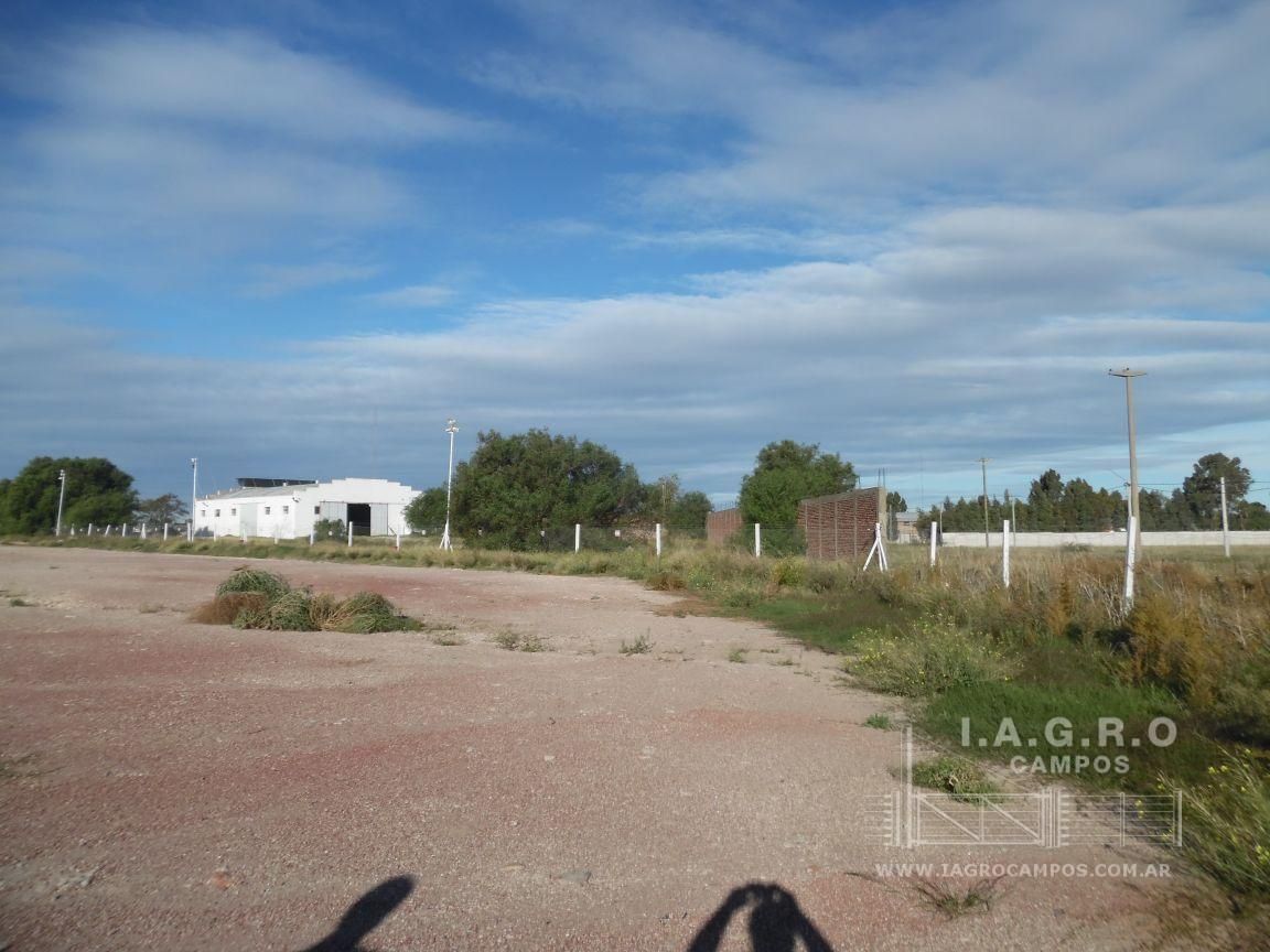 Terreno en Venta en Ruta Nacional 3 Sur Km 695,  Bahía Blanca - Bahía Blanca Propiedades | SITIO OFICIAL l