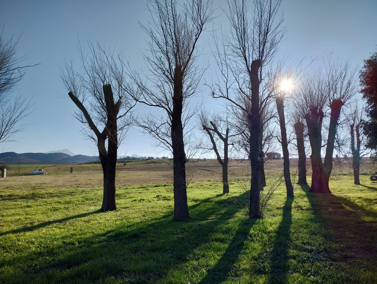 Terreno en Venta  Las Verbenas , Sierra de  la Ventana - Bahía Blanca Propiedades | SITIO OFICIAL l