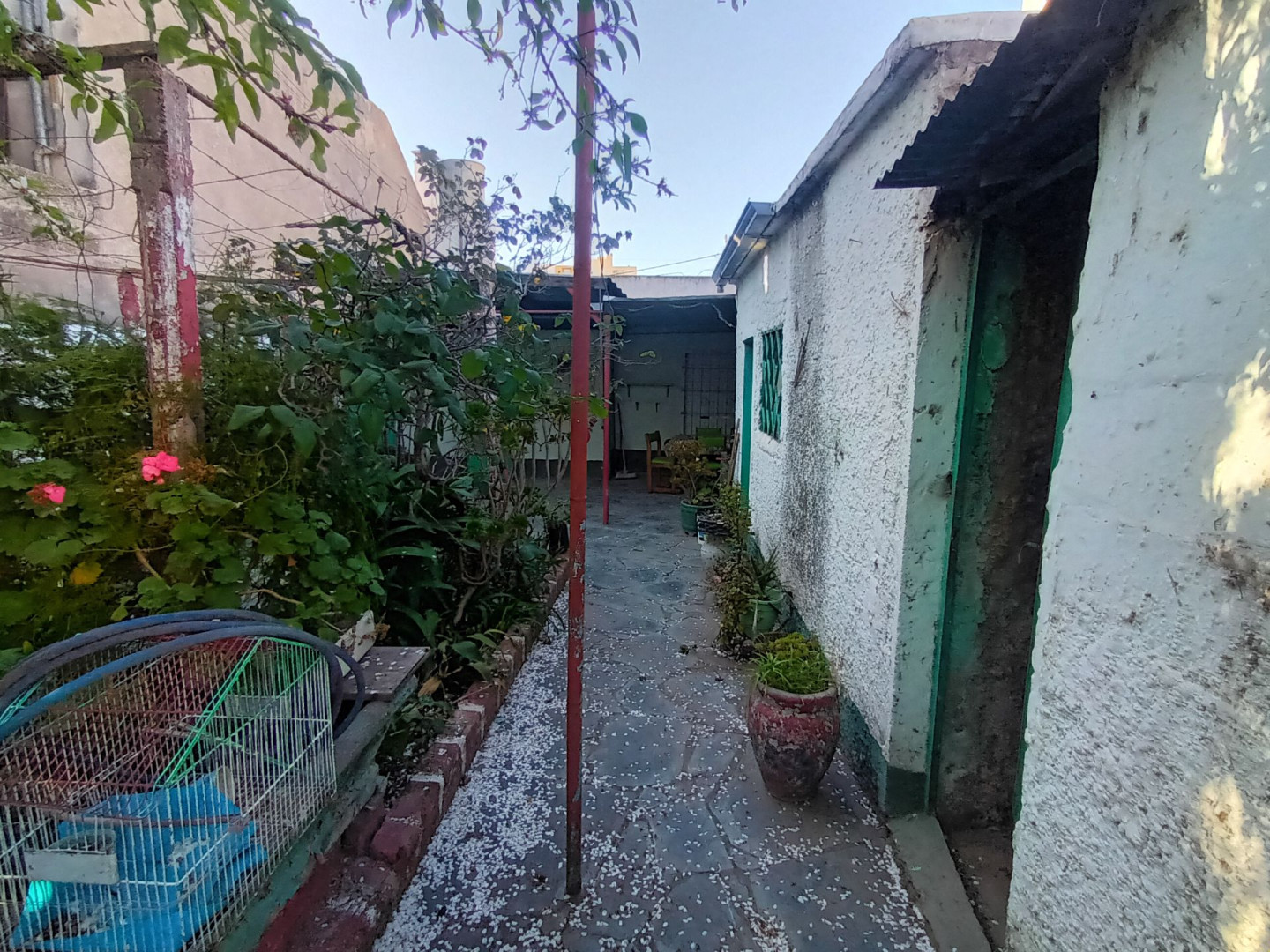Casa en Venta en Ascasubi 170, Universitario, Bahía Blanca - Bahía Blanca Propiedades | SITIO OFICIAL l