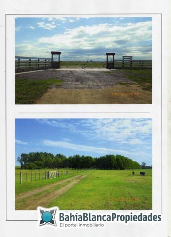 Campo  en Venta en ARGERICH ,  Villarino - Bahía Blanca Propiedades | SITIO OFICIAL l