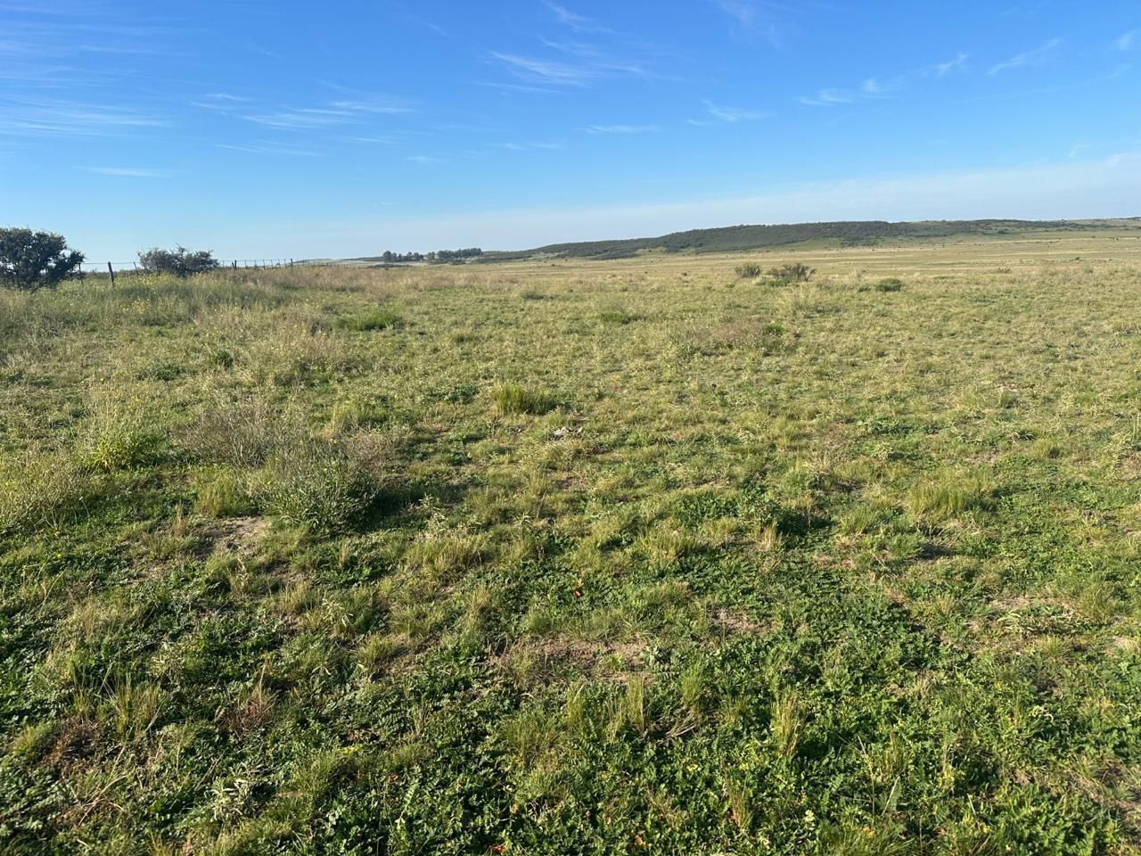 Campo  en Venta en A 4 Kilómetros De La Ruta 3.,  Teniente Origone - Bahía Blanca Propiedades | SITIO OFICIAL l