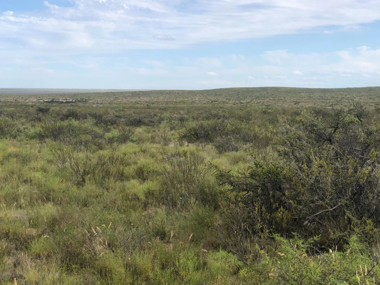 Campo  en Venta en Ruta Provincial 34,  Lihuel Calel - La Pampa - Bahía Blanca Propiedades | SITIO OFICIAL l