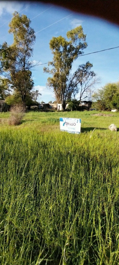 Terreno en Venta en Pueblo De Argerich Pdo De Villarino - Bahía Blanca Propiedades | SITIO OFICIAL l