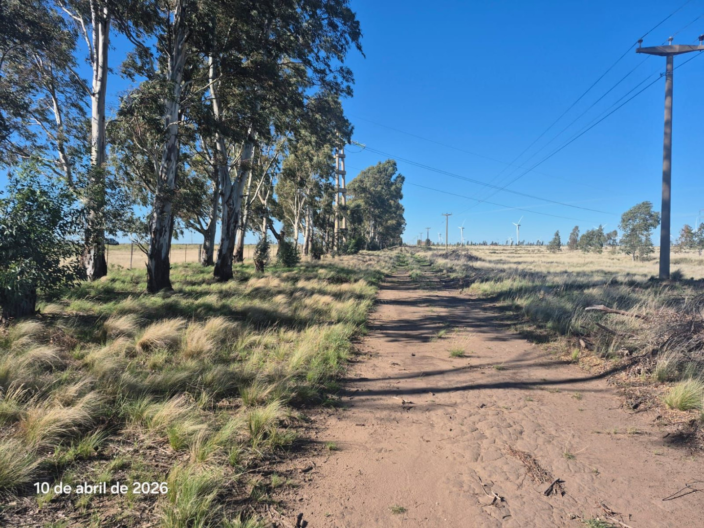 Campo  en Venta en Ruta 51 Km 722,  Bahía Blanca - Bahía Blanca Propiedades | SITIO OFICIAL l