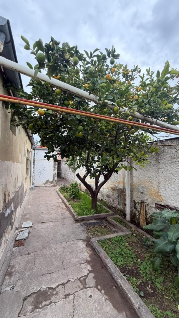 Casa en Venta en Chacabuco 2442, Villa Mitre, Bahía Blanca - Bahía Blanca Propiedades | SITIO OFICIAL l