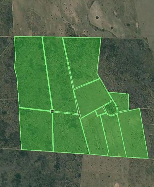 Campo  en Venta en A 18 Kilómetros De Algarrobo,  Villarino - Bahía Blanca Propiedades | SITIO OFICIAL l
