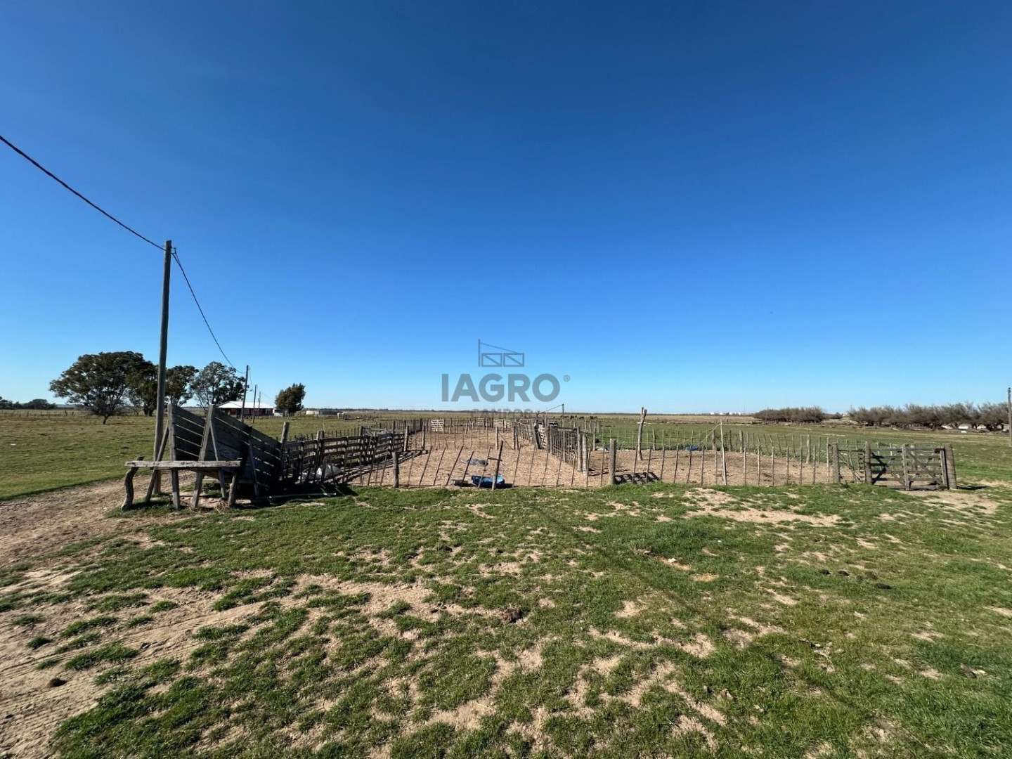 Campo  en Venta en Bahia Blanca,  Bahía Blanca - Bahía Blanca Propiedades | SITIO OFICIAL l