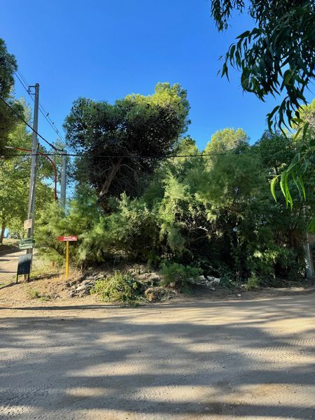 Terreno en Venta en Santa Clara Del Mar Y Punta Alta, El Sauce, Monte Hermoso - Bahía Blanca Propiedades | SITIO OFICIAL l