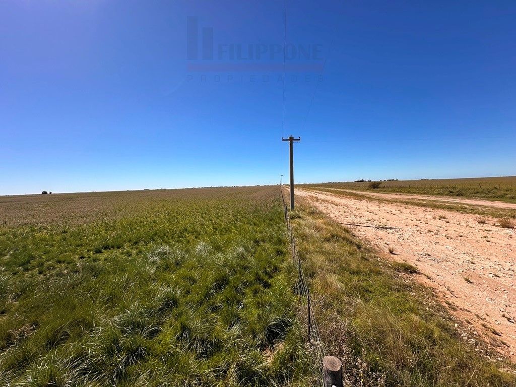 Campo  en Venta en Ruta 35 - Bahía Blanca Propiedades | SITIO OFICIAL l