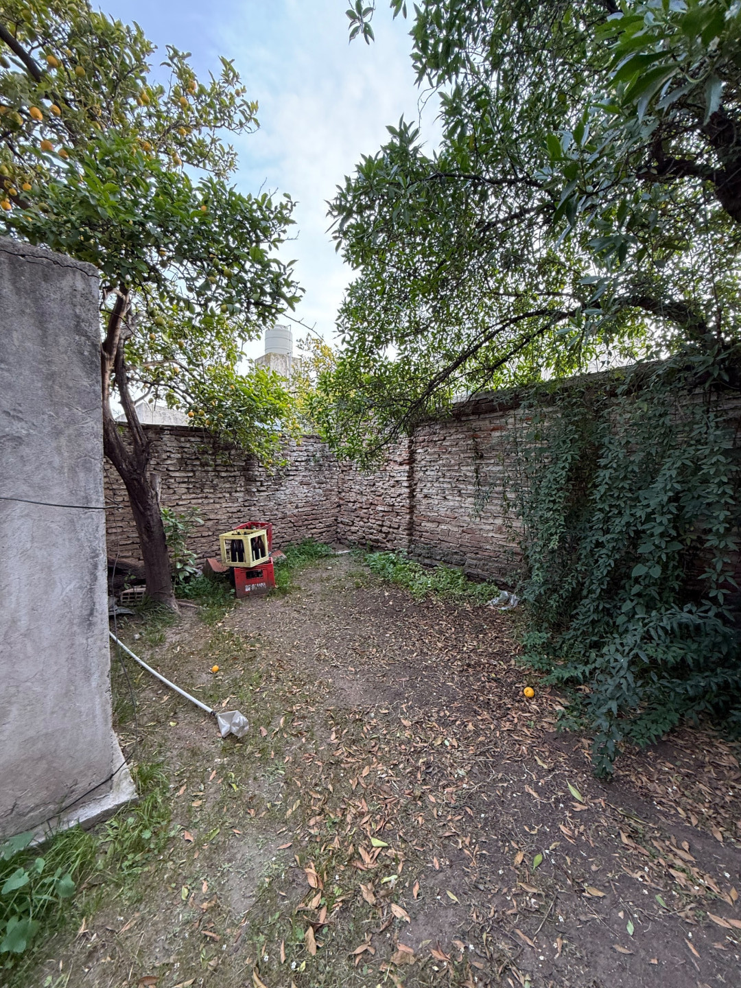 Casa en Venta en Fitz Roy 573, Macrocentro, Bahía Blanca - Bahía Blanca Propiedades | SITIO OFICIAL l