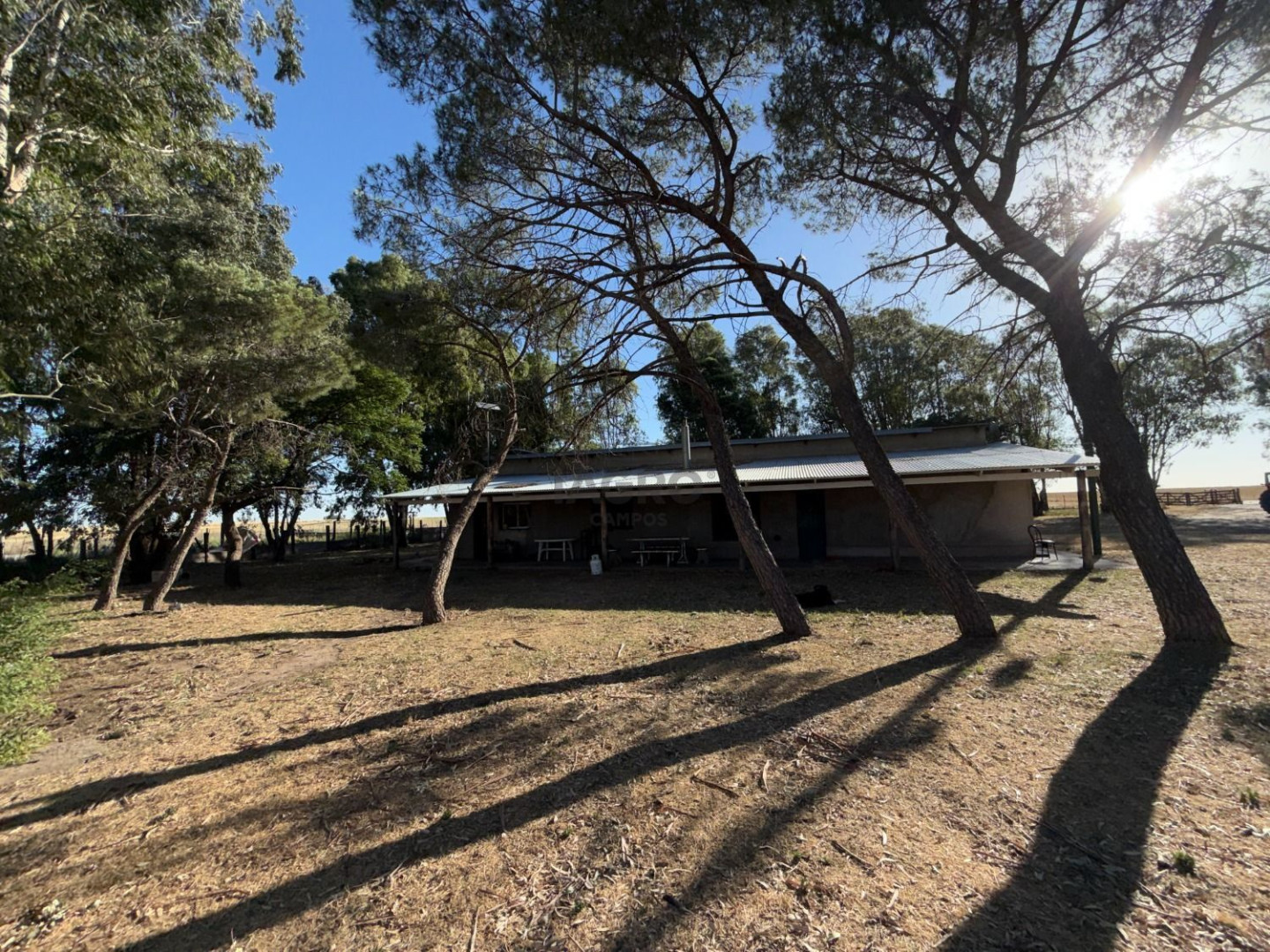 Campo  en Venta en Nueva Roma,  Tornquist - Bahía Blanca Propiedades | SITIO OFICIAL l