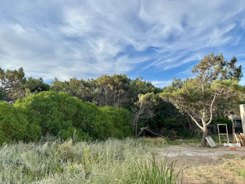 Terreno en Venta en Costanera Entre Soldani Y Del Dientudo, Las Dunas, Monte Hermoso - Bahía Blanca Propiedades | SITIO OFICIAL l