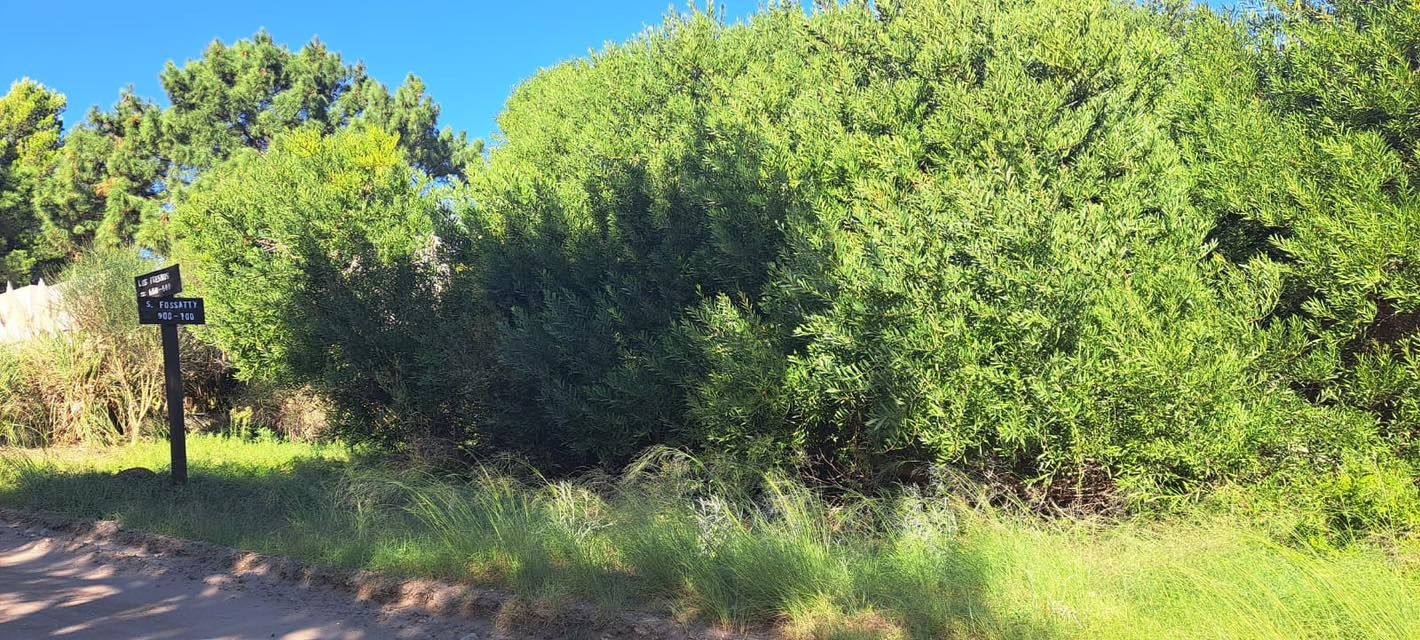 Terreno en Venta en FOSSATY Y LOS FRESNOS , Monte del Este, Monte Hermoso - Bahía Blanca Propiedades | SITIO OFICIAL l