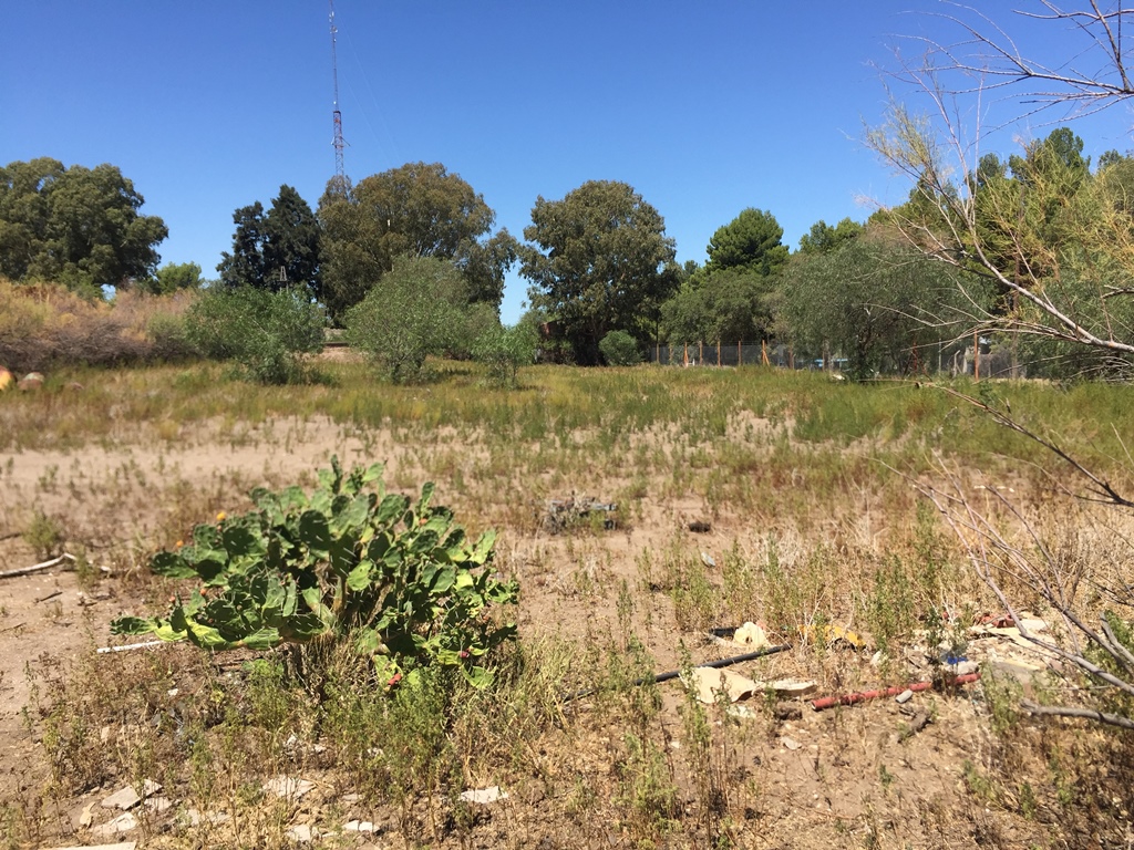Terreno en Venta en Reynal 3400, Bahía Blanca, Villa Belgrano, Bahía Blanca - Bahía Blanca Propiedades | SITIO OFICIAL l