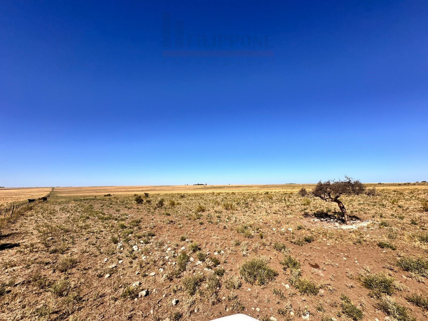 Campo  en Venta en Ruta 35,  Bahía Blanca - Bahía Blanca Propiedades | SITIO OFICIAL l