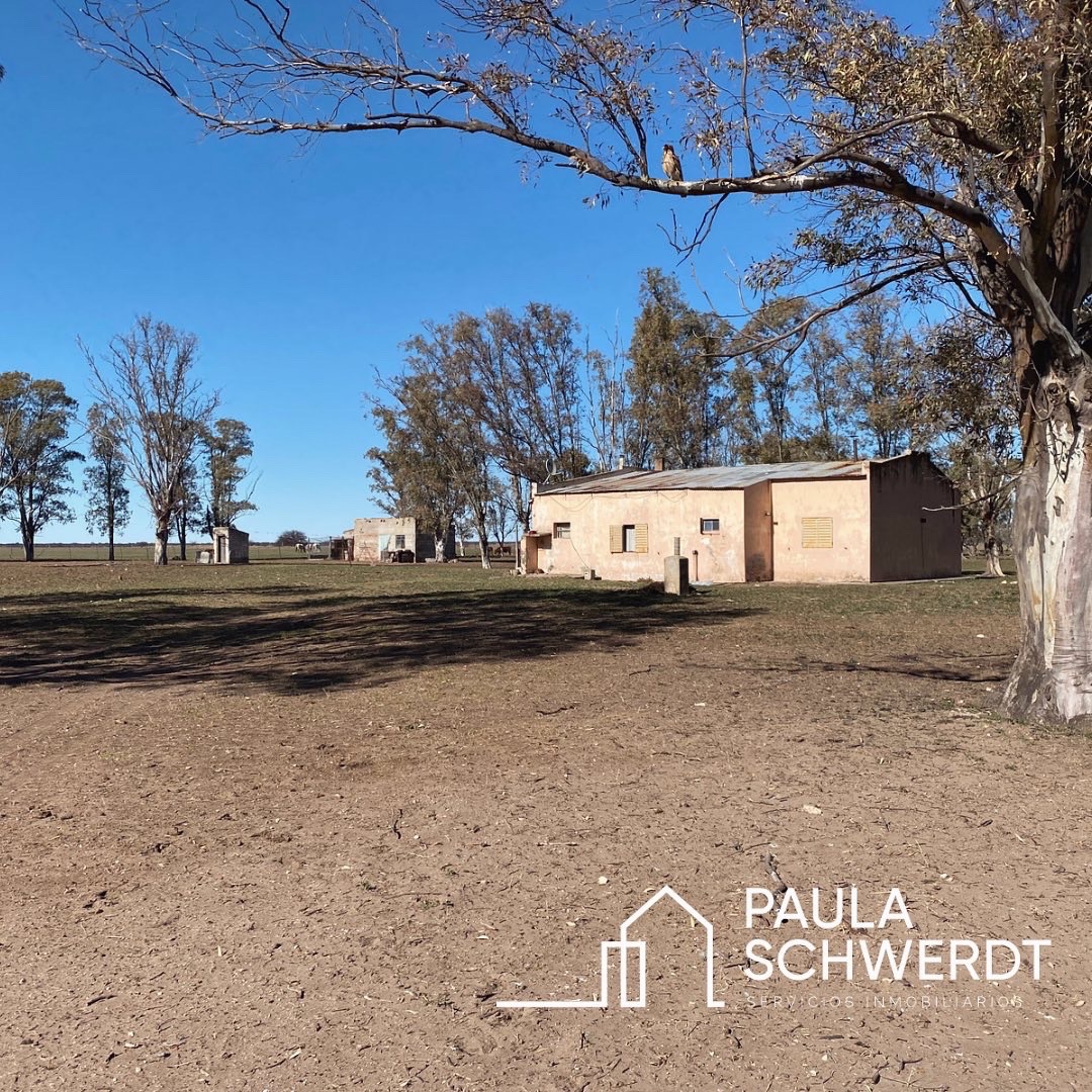 Campo  en Venta   Villarino - Bahía Blanca Propiedades | SITIO OFICIAL l