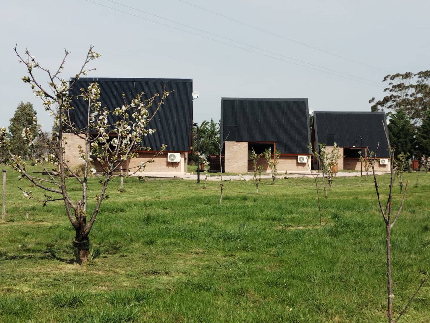 Complejo Turístico  en Venta en RUTA 76,  San Andres de las Sierras - Bahía Blanca Propiedades | SITIO OFICIAL l
