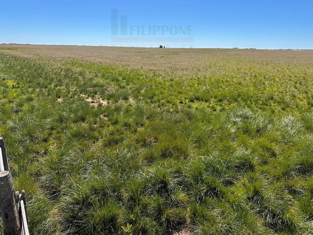 Campo  en Venta en Ruta 35 - Bahía Blanca Propiedades | SITIO OFICIAL l