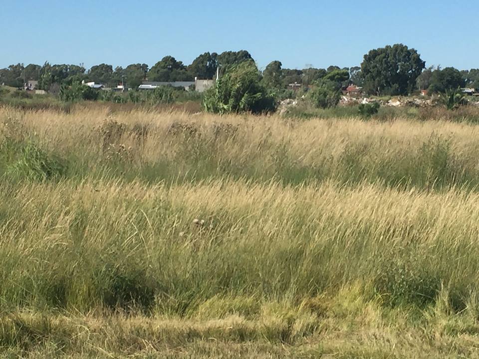 Terreno en Venta en Tomás Guido & Daniel De Solier, Parque Industrial, Bahía Blanca - Bahía Blanca Propiedades | SITIO OFICIAL l