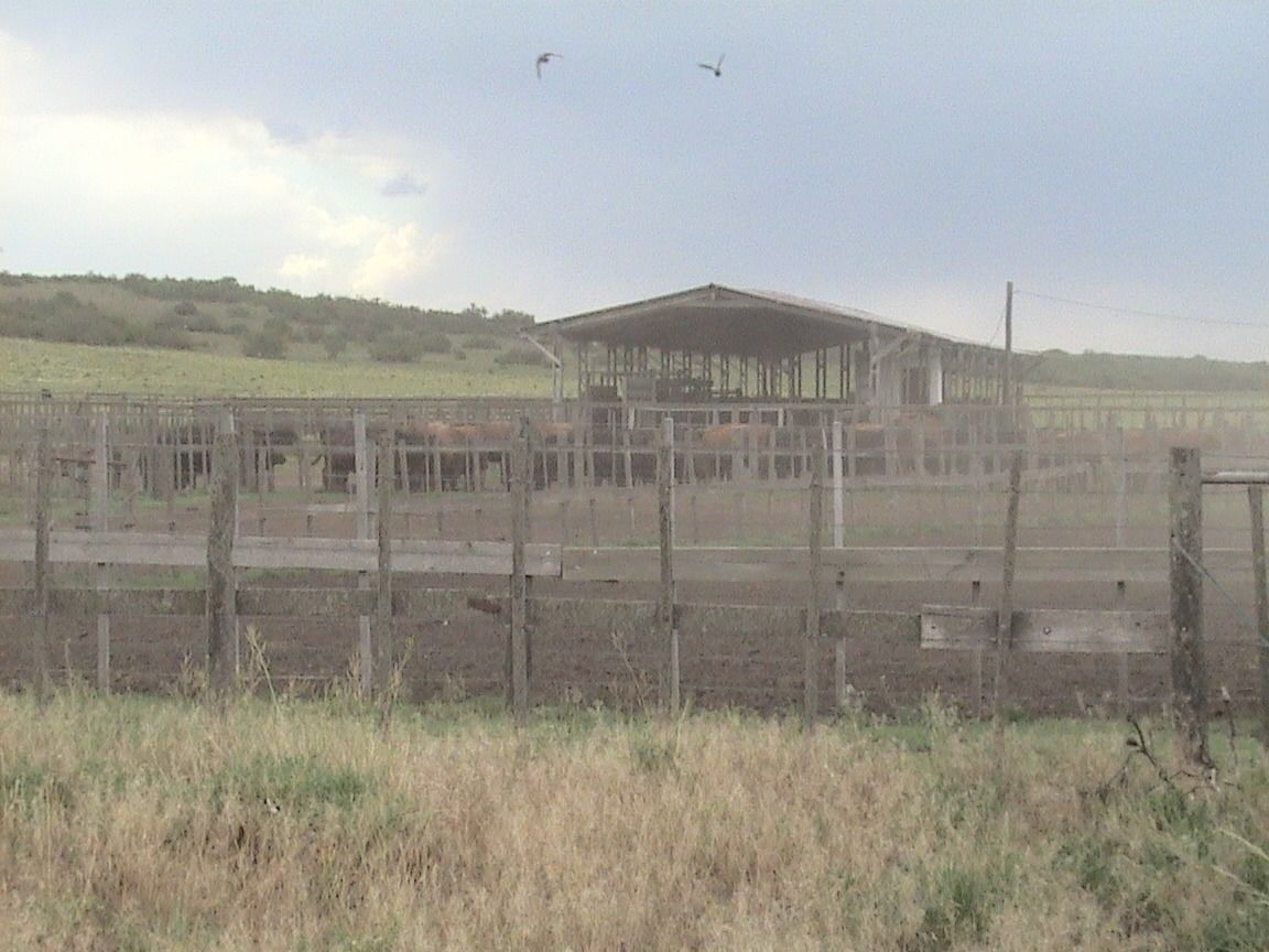 Campo  en Venta en Partido De Puan,  Puan - Bahía Blanca Propiedades | SITIO OFICIAL l