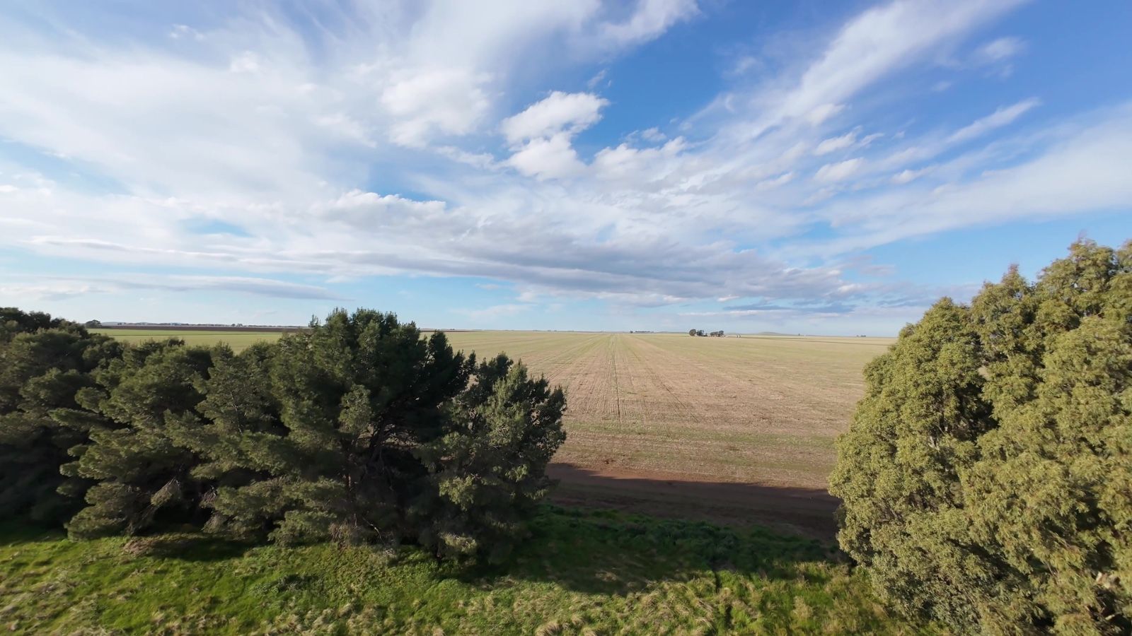 Campo  en Venta   San Romàn - Bahía Blanca Propiedades | SITIO OFICIAL l