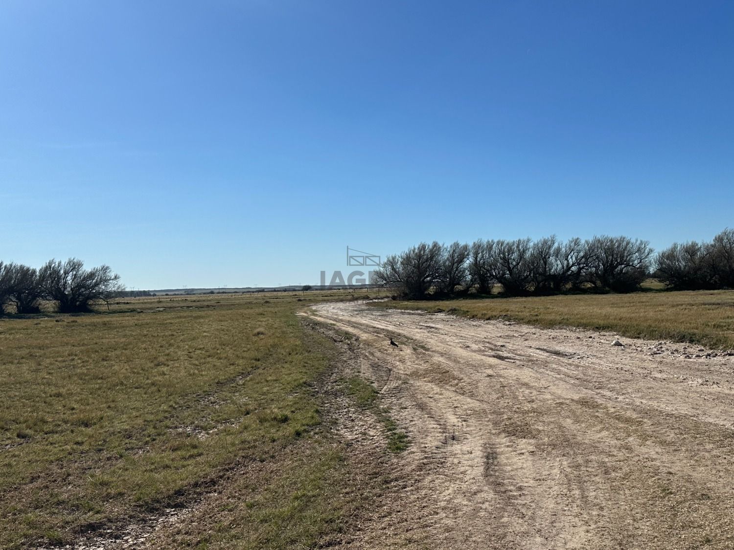 Campo  en Venta en Bahia Blanca,  Bahía Blanca - Bahía Blanca Propiedades | SITIO OFICIAL l