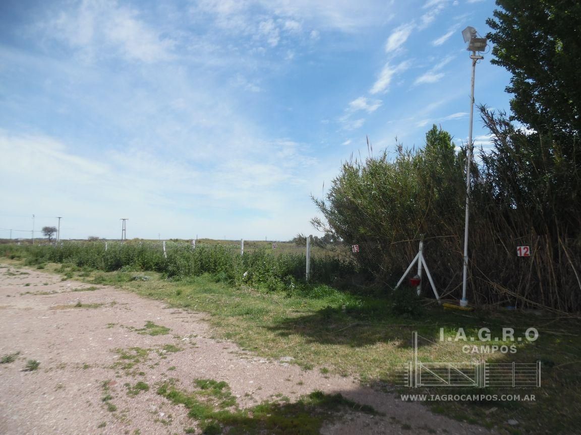 Terreno en Venta en Ruta Nacional 3 Sur Km 695,  Bahía Blanca - Bahía Blanca Propiedades | SITIO OFICIAL l